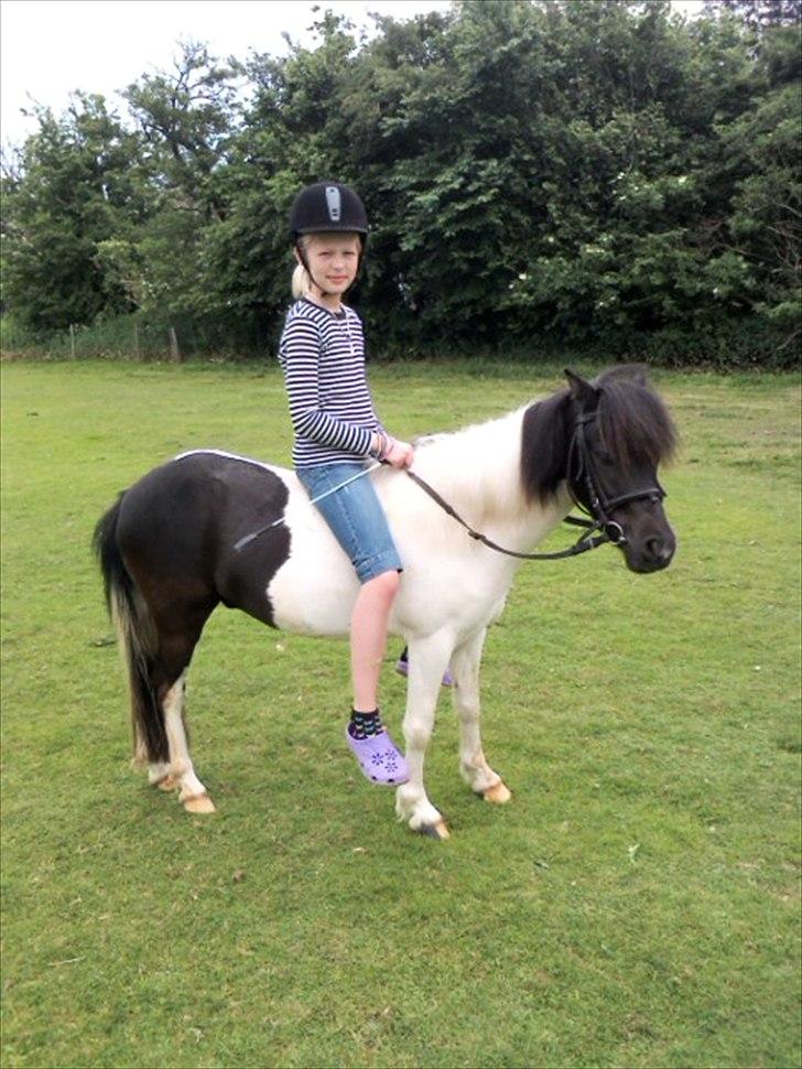 Anden særlig race Czami<3 - Prøv se den er den ikke kærrrrrr?<3 billede 16