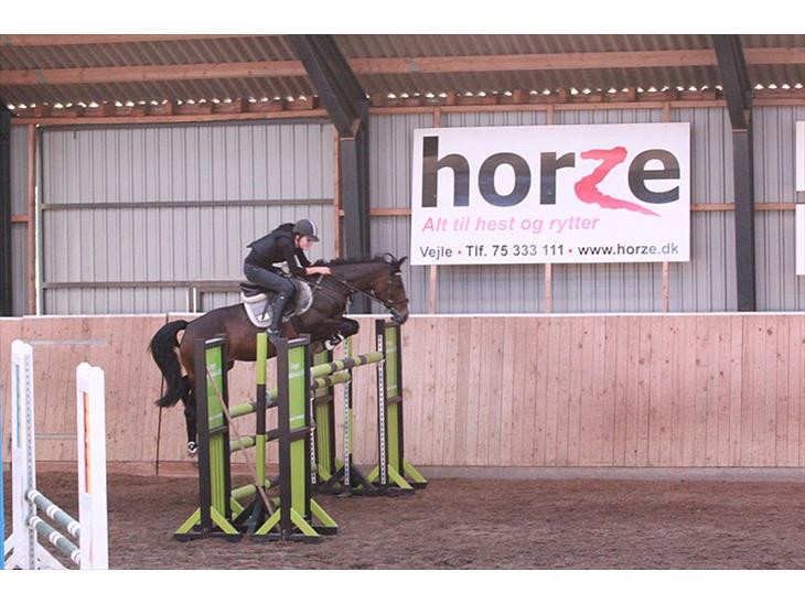 Irsk Sportspony Clonkela Miss - Kela springer 150 til sponsorspring. dygtig pony! billede 1