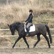 Anden særlig race Mira