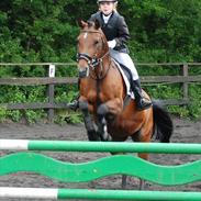 DSP MIRA-BELL VENTURE 