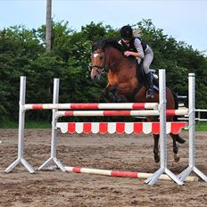 Anden særlig race Linus SOLGT :'(