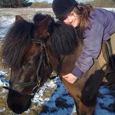 Anden særlig race Zigge Z