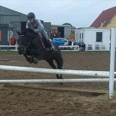 Anden særlig race Toxic Daisy <3 (SOLGT)