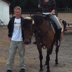 Anden særlig race Mister Mani