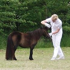 Dansk Miniature Lundevestergård Papaya Fa