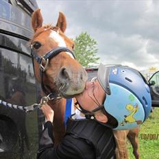Anden særlig race Bakkegaardens Bailey<3 A-pony