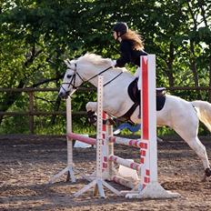 Anden særlig race Heri's Skywalker Conall