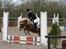 Welsh Partbred (Sec F) Vrinsk <3 - Vrinsk & Sally til første udestævne på Svejstrup Vestergaard