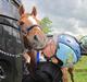 Anden særlig race Bakkegaardens Bailey<3 A-pony