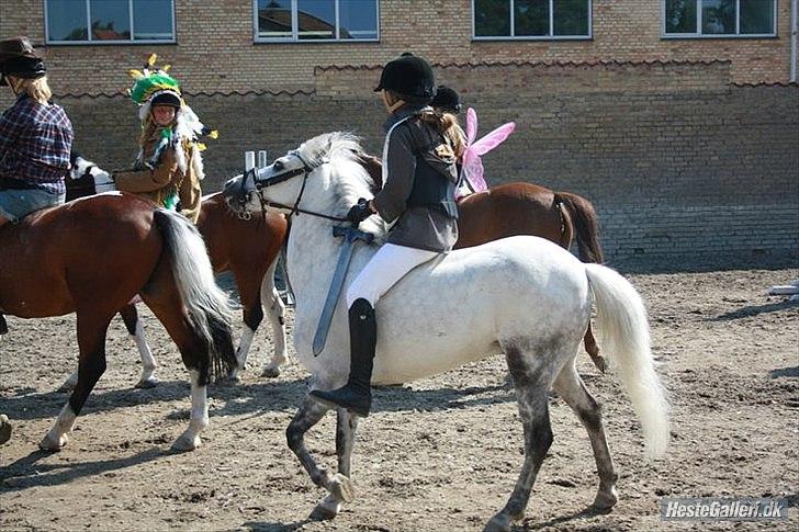 Welsh Mountain (sec A) Elvis Pony  - Mig og Elvis til æresrunde i udklædning spring stævnet på TPRK <3 2'nd plads :D Foto: Chrille/Eva <3 billede 18