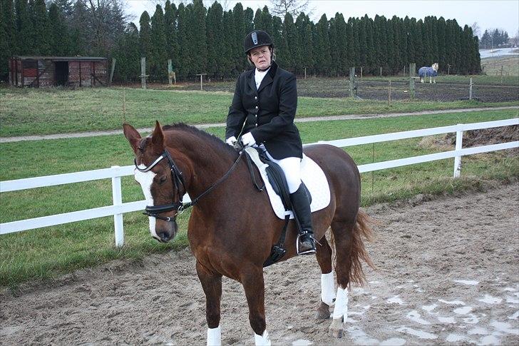 Dansk Varmblod Roma Rumperøv - Marianne Arp og Roma til stævne  billede 18