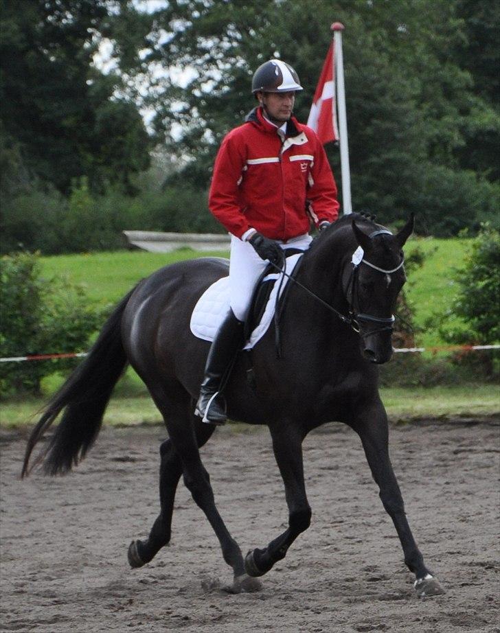 Oldenborg Skovlunds Dea Deluxe - Testrytteren på Dea billede 8