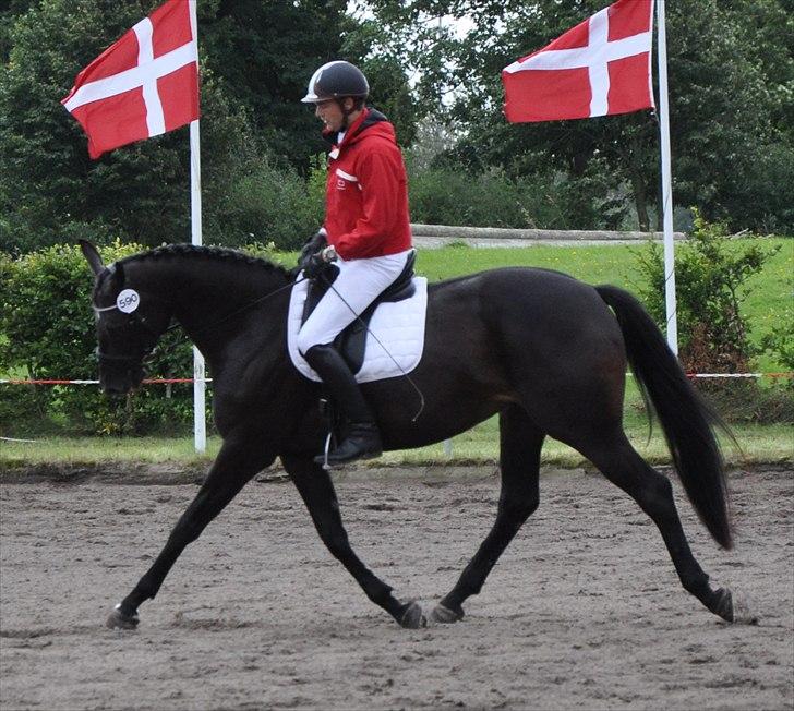 Oldenborg Skovlunds Dea Deluxe - Dea og testrytter billede 11