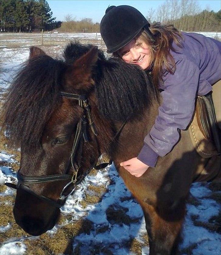 Anden særlig race Zigge Z billede 3