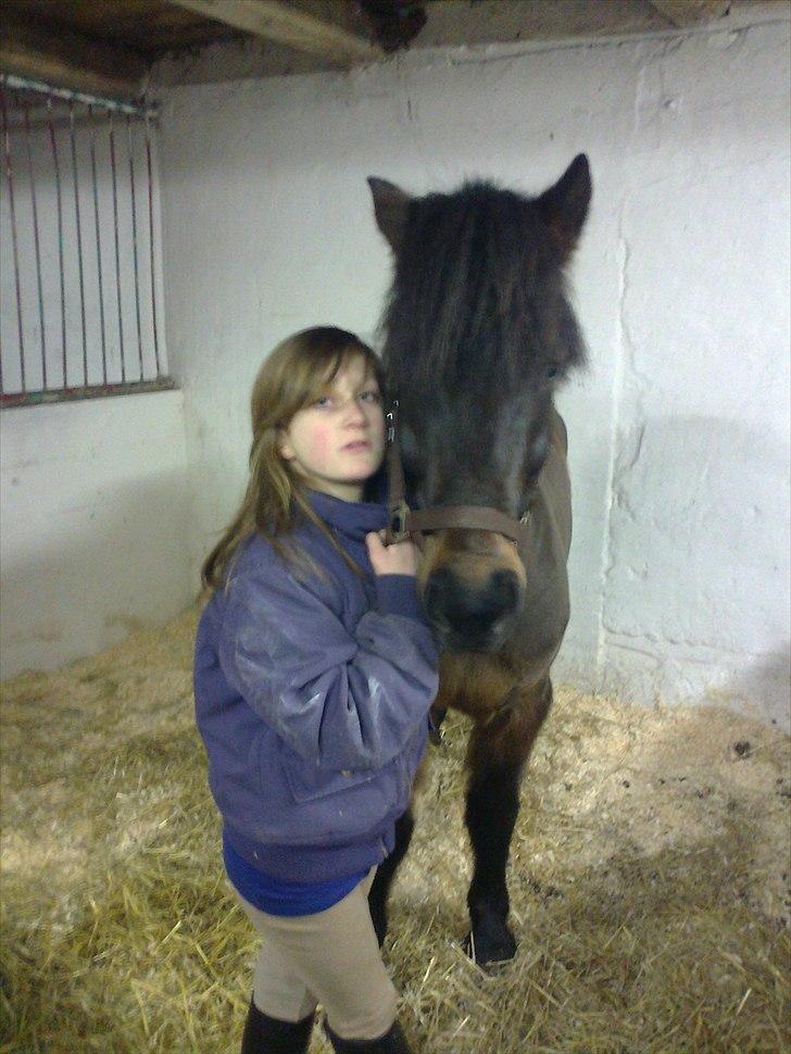 Anden særlig race Zigge Z billede 5