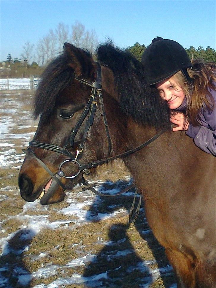 Anden særlig race Zigge Z billede 7