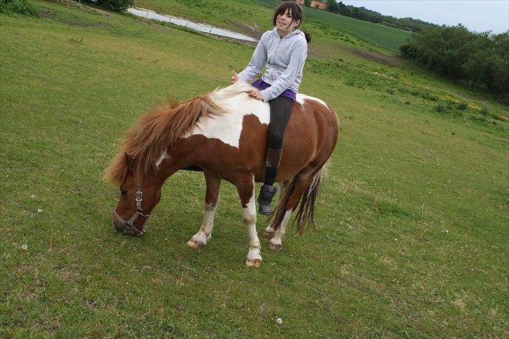 Anden særlig race Flamme *.. Bølle pony!<3 (Solgt) ;'(<3 - Fordi jeg stoler på dig!;-* Foto: Maria/søster billede 2