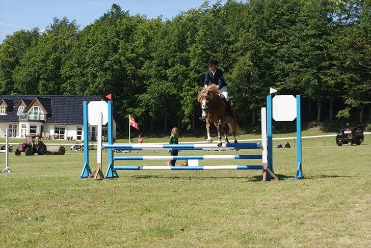 Hollandsk Sportspony Jan <3 SOLGT - Morsø 2011
LA** billede 17