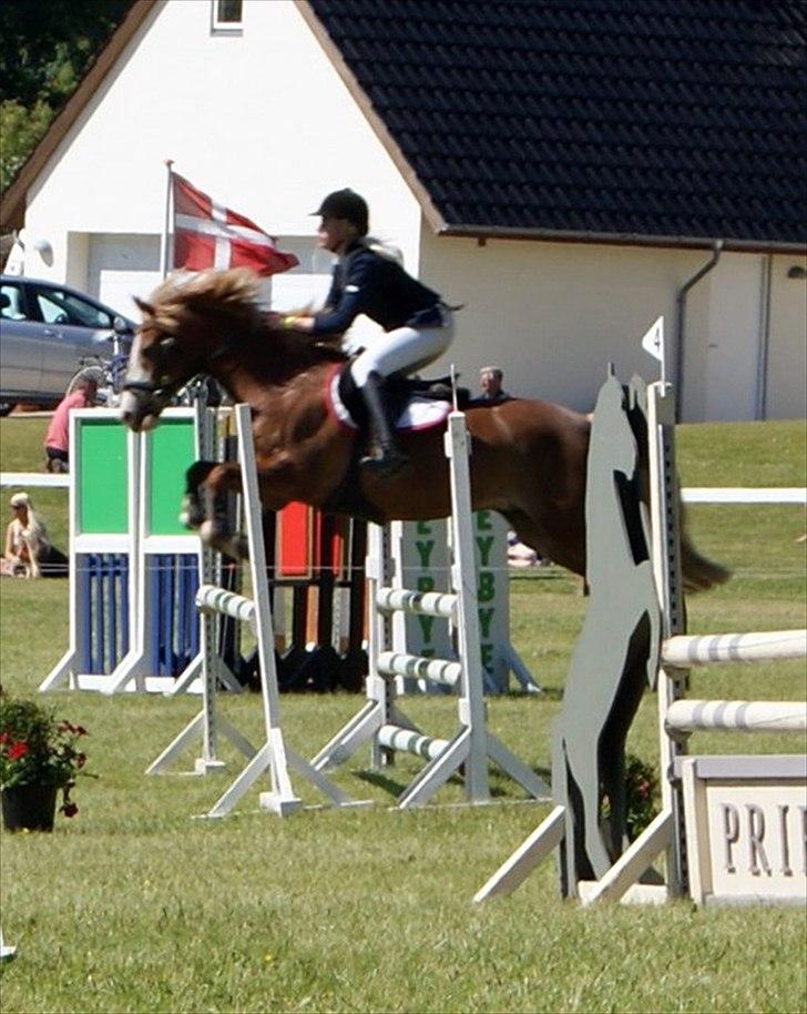 Hollandsk Sportspony Jan <3 SOLGT - Morsø 2011

LA** med jordens bedste pony! <3 billede 2