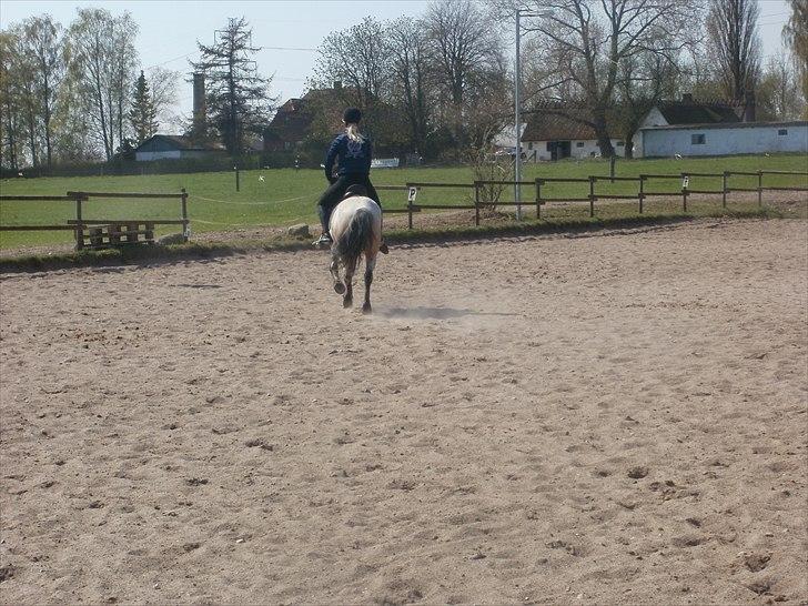 Anden særlig race Mikkel  - Når enden er god så er alting godt <3 Love you billede 20