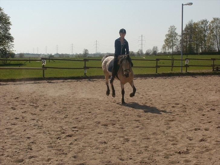 Anden særlig race Mikkel  - Skulle til at bukke <3 
Elsker dig  billede 12