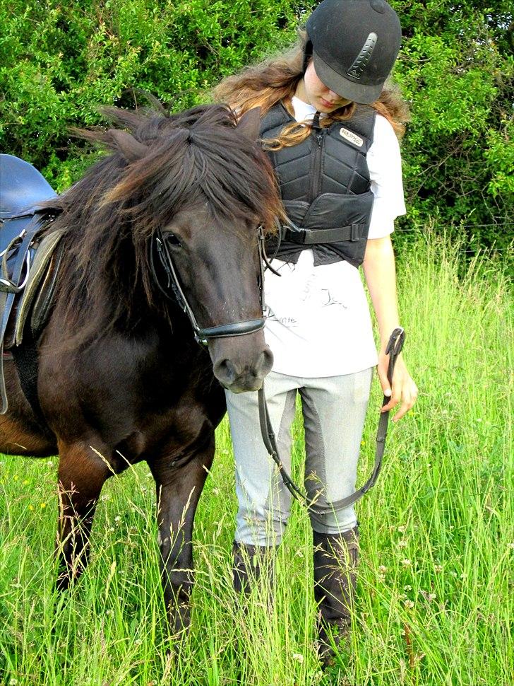 Anden særlig race Jolly - SOLGT -Savnet  billede 6