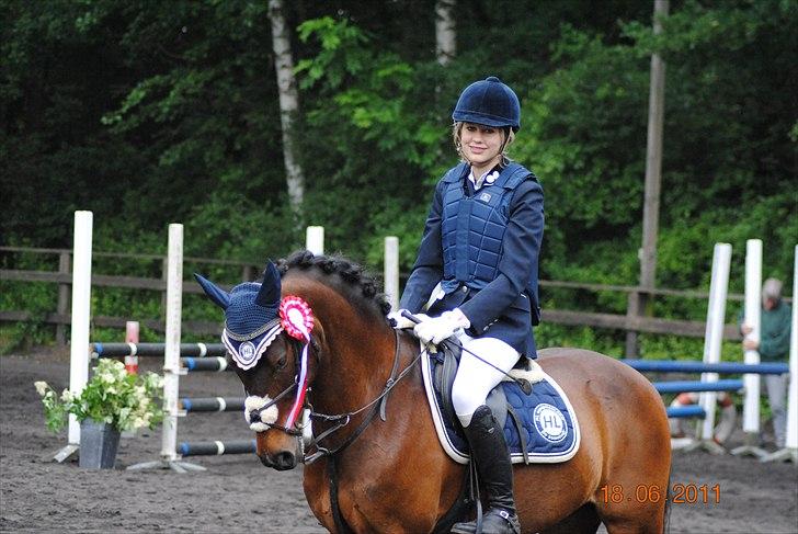Tysk Sportspony Timo 215¨ - Første plads i LB(90cm). 
Fotograf: Pia Riber billede 9