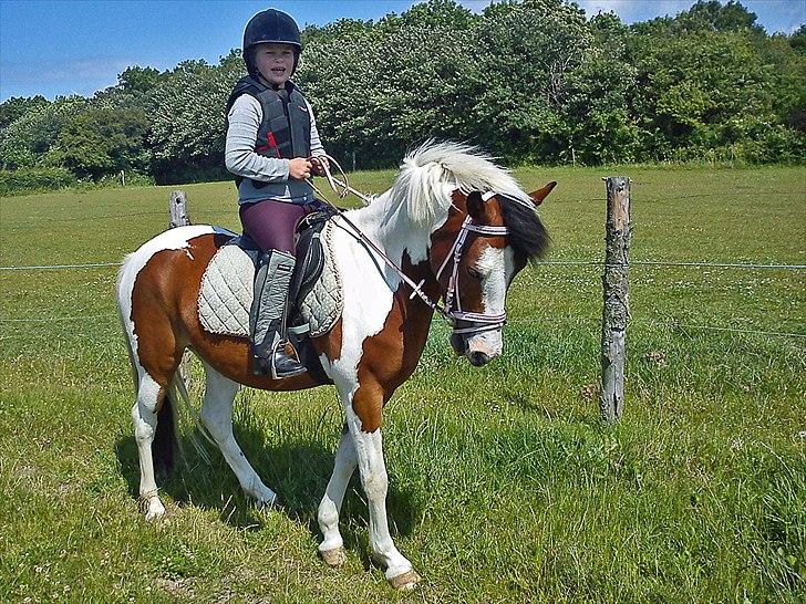 Pinto Hiawatha billede 3