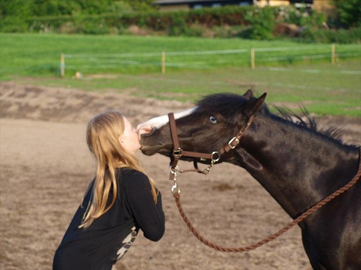 Anden særlig race Blue Eye´D Girl - A pony SOLGT! - 14.Putte og mig hygger på banen <3 jeg elsker dig prut :D <3 billede 14