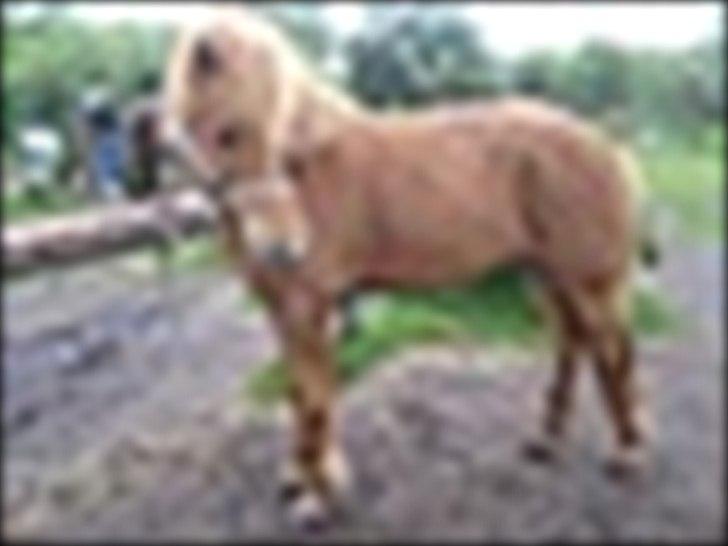 Islænder Sokrates (Min prins~Glemmer dig aldrig<3) - Du er for lækker <3 billede 10