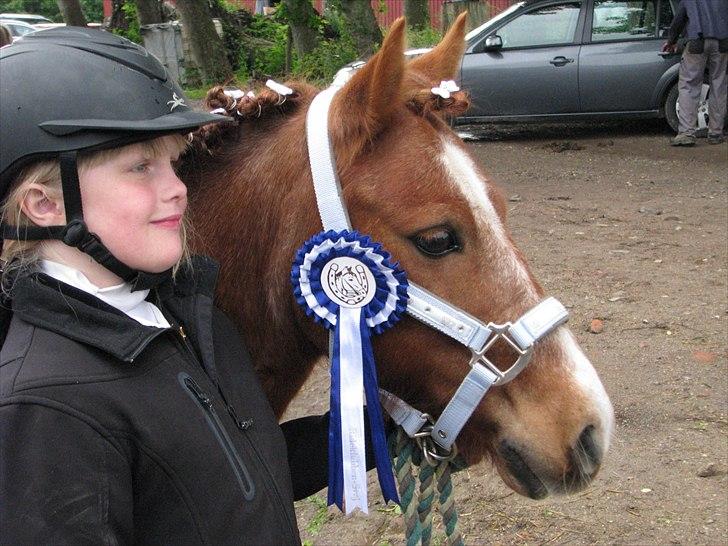 Anden særlig race Prins - 2. plads med 62,92 % i LC1 d. 18. juni 2011. billede 19