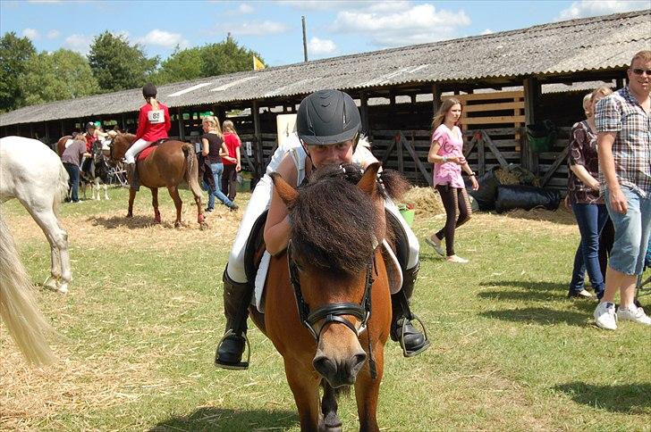 Anden særlig race Daisy billede 10