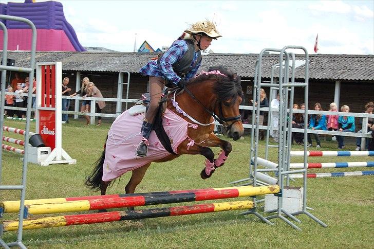 Anden særlig race Daisy - kostumespring :D billede 11
