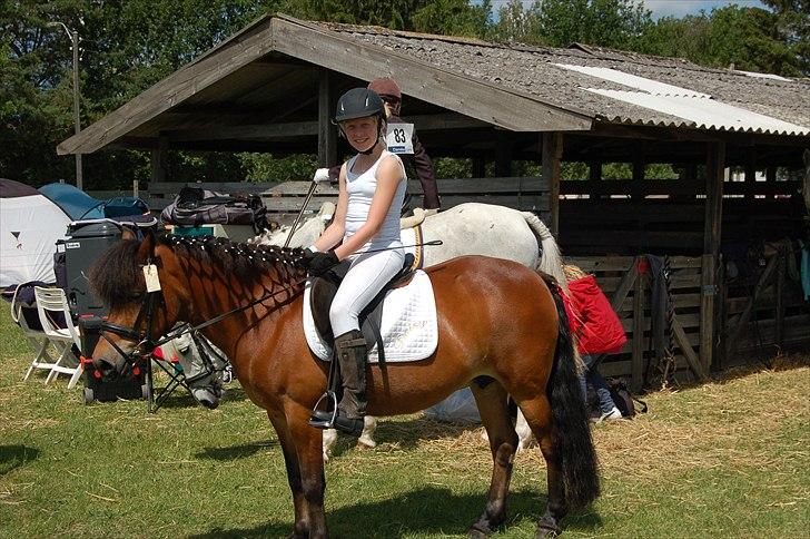 Anden særlig race Daisy - elsker hende!!  billede 13