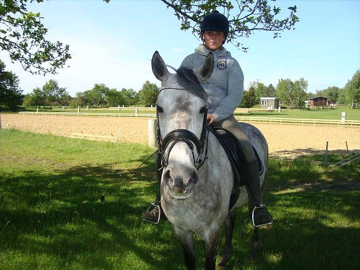 Anden særlig race Fanta SOLGT! - Du er alt for mig, jeg elsker dig min elskede pony! Vi har været igennem alt sammen, og kan alt sammen! billede 2