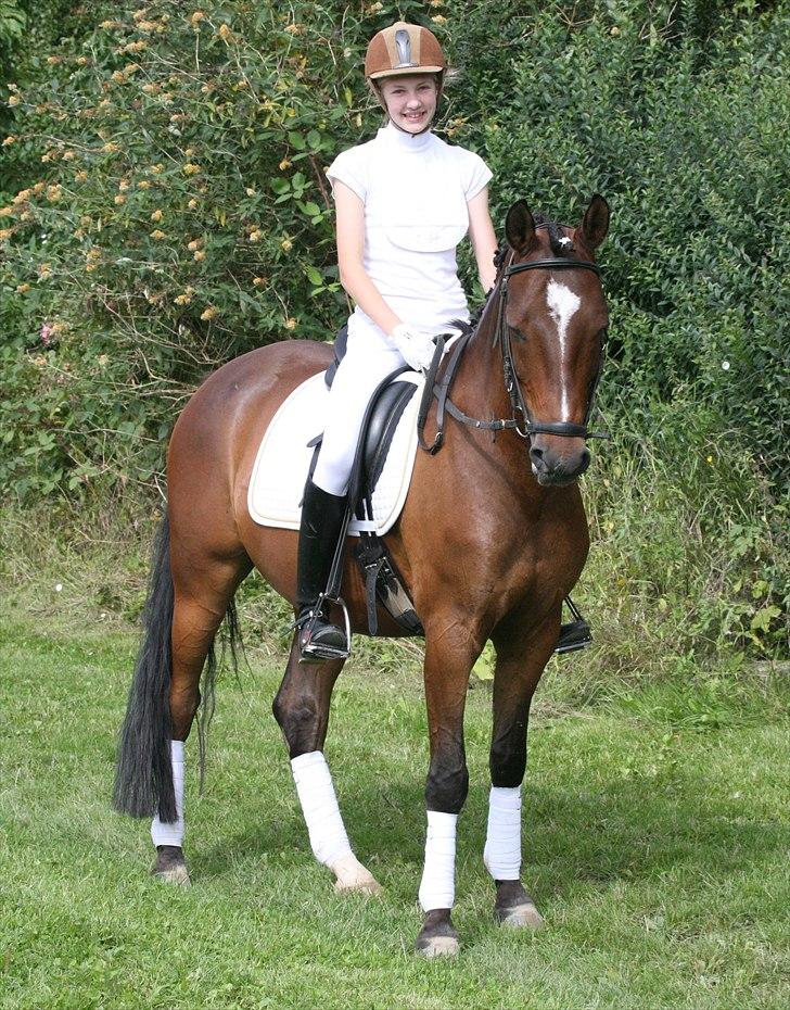 New Forest Lucky billede 17