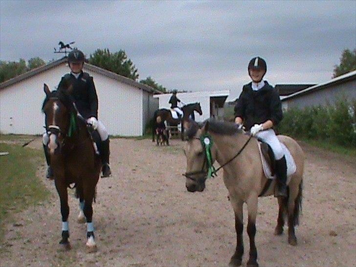 Anden særlig race Mikkel  - Sammen med Louise <3
Elsker JER billede 14