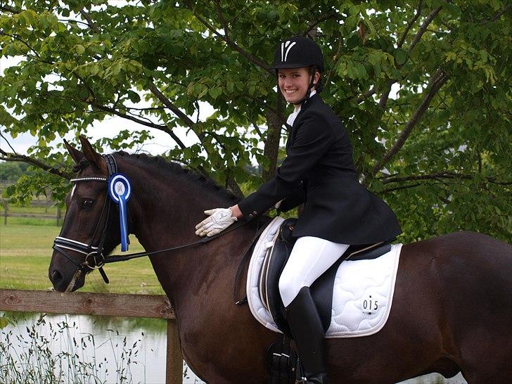 New Forest Kikkenberg's Rikki B-pony - 3 delt 2 plads til distriktmesterskaberne for distrikt 2 :D 
LA4 red til 67,9 % billede 15