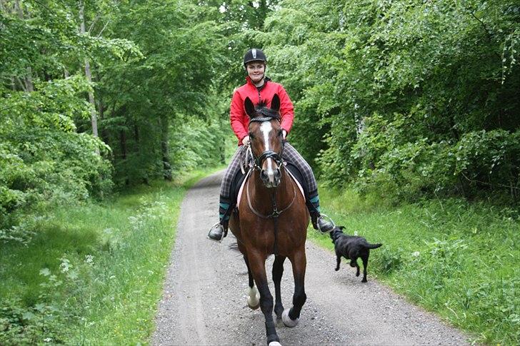 Oldenborg Evita Rosenager <3 - På skovtur med far & Maya(min hund) <3 billede 12