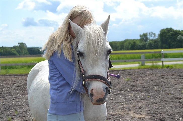 Anden særlig race Melissa ¤Min pige¤ - Du aner ikke hvad du betyder for mig, for det kan ikke beskrives ! <3 Mester fotograf: Maja billede 16