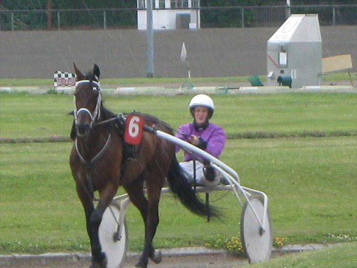 Traver Royal street billede 14