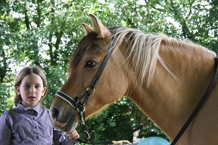 Anden særlig race Bonnie billede 8