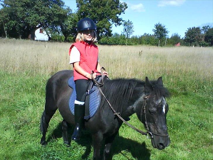 Anden særlig race Nina billede 1