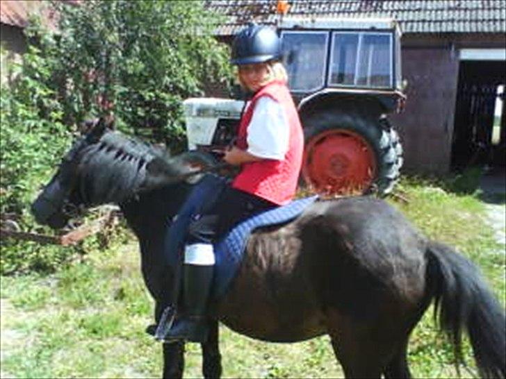 Anden særlig race Nina billede 2