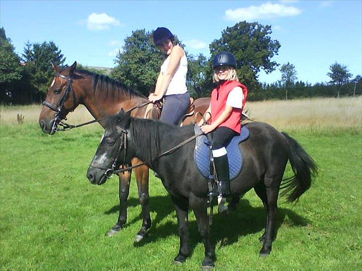 Anden særlig race Nina billede 3