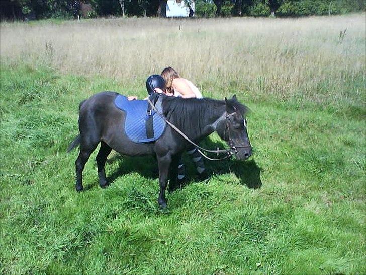 Anden særlig race Nina billede 5