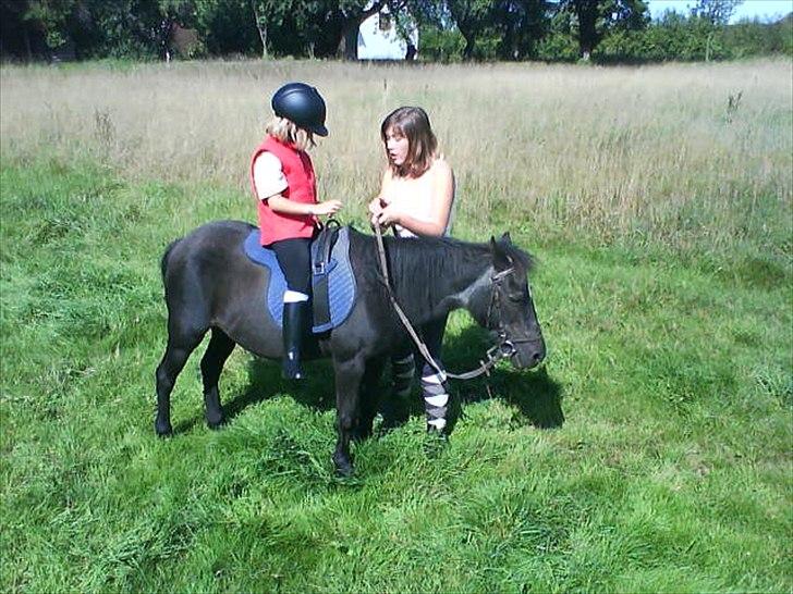 Anden særlig race Nina billede 7