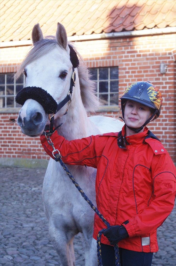 Anden særlig race | Simba<3 [SOLGT] - Dejlige pony <3 billede 20