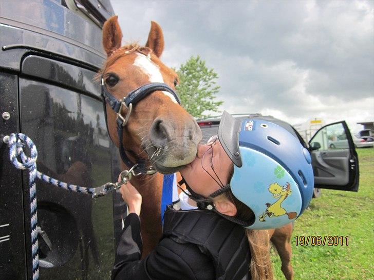 Anden særlig race Bakkegaardens Bailey<3 A-pony - Jeg tabte min hat, men jeg kan købe en ny. Jeg slog hul på mine bukser men dem kan jeg sy... Min skjorte blev krøllet, men den kan jeg glatte. Men at miste dig kan intet erstatte.. billede 1