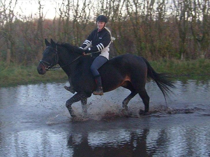 Anden særlig race Conrad <3 billede 20